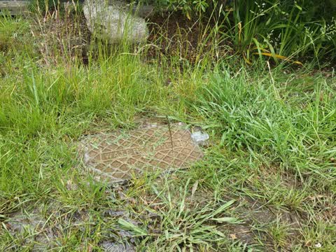 Water Leak, a report photo