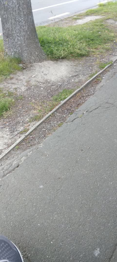 Roading/Streets, a report photo