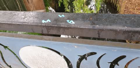 Graffiti, a report photo