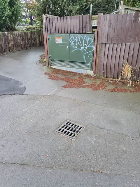 Graffiti, a report photo