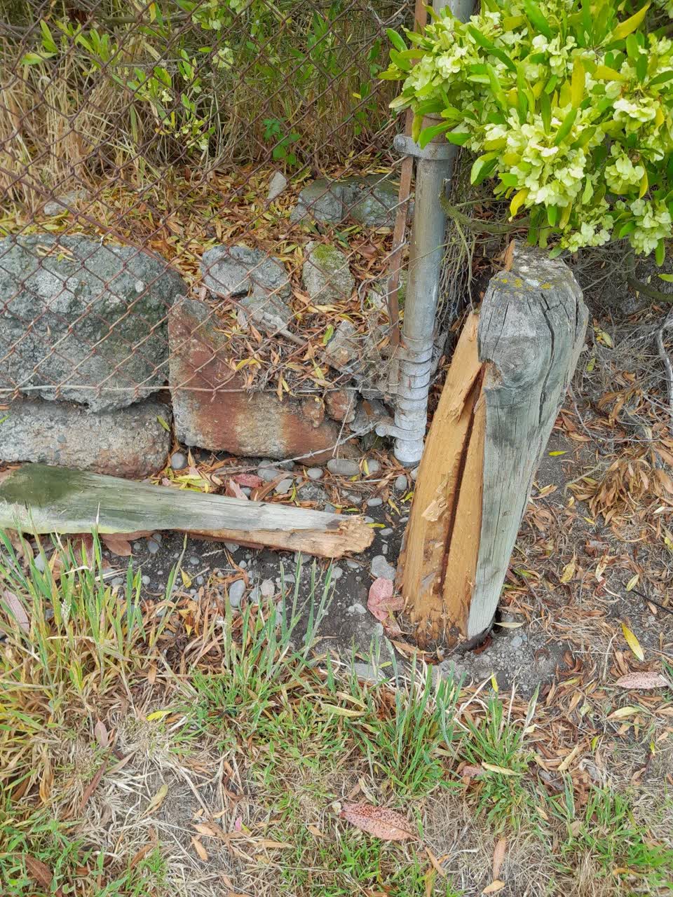 The photograph attached to this parks report