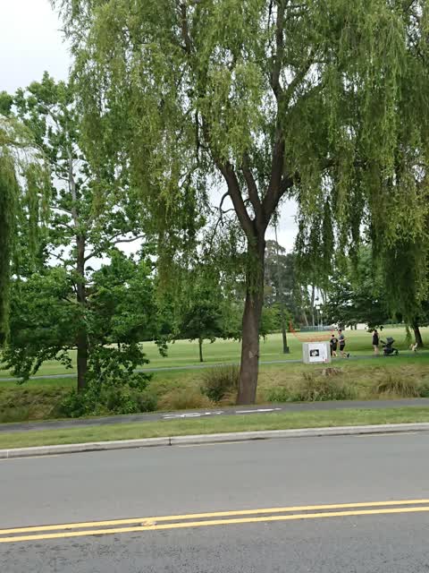 Parks, a report photo