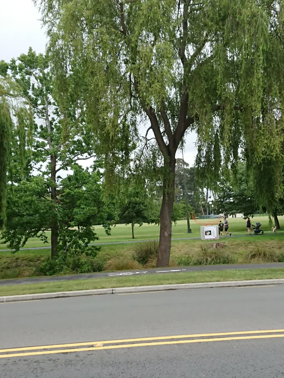 The photograph attached to this parks report