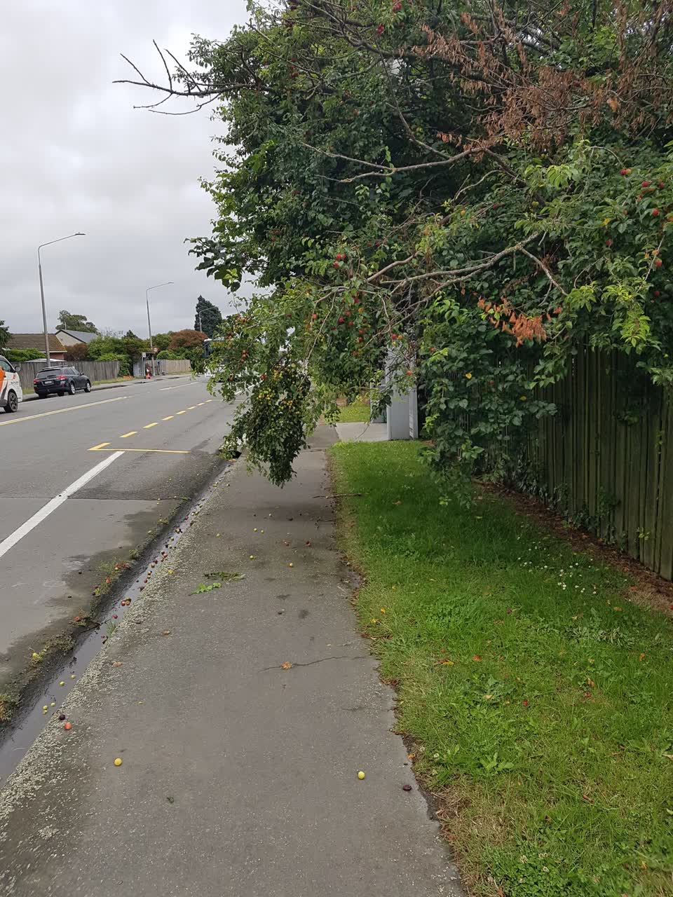 The photograph attached to this roading/streets report