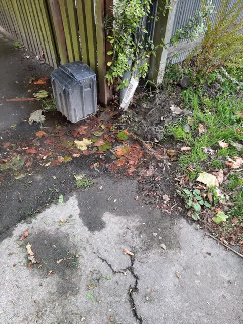Water Leak, a report photo