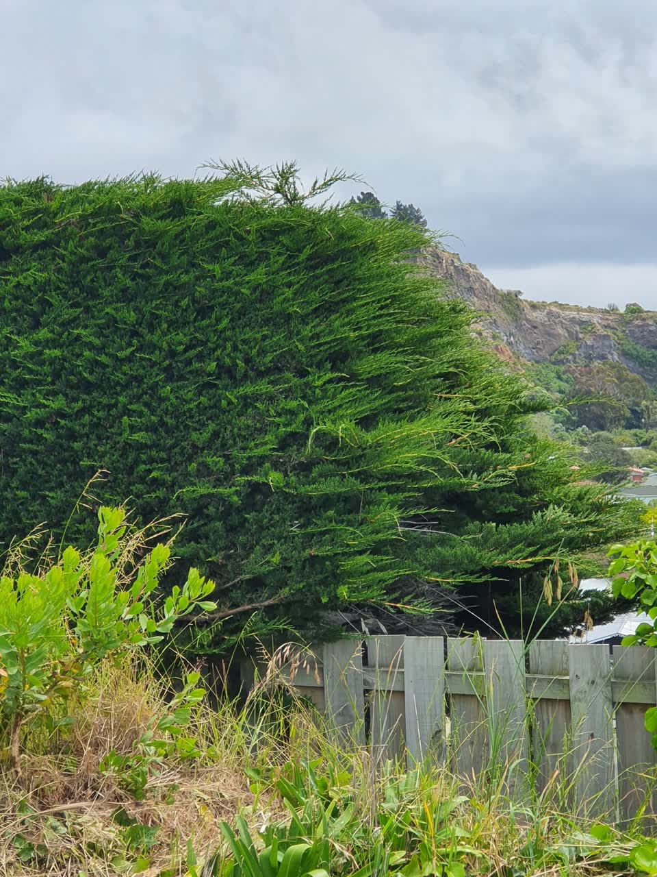 The photograph attached to this parks report