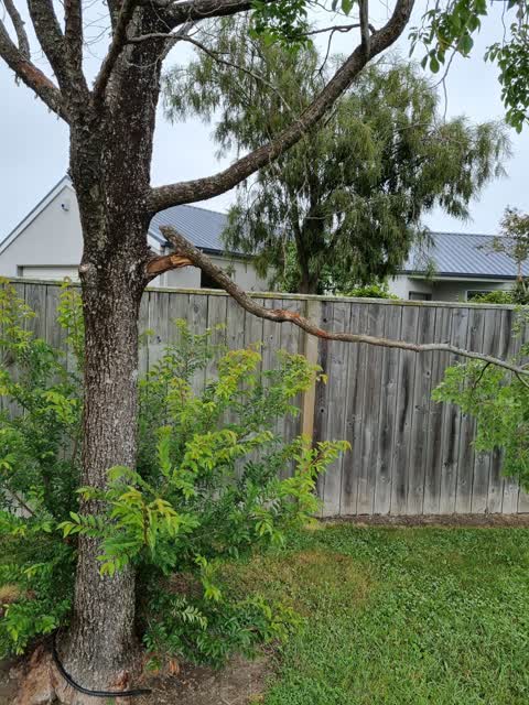 Parks, a report photo
