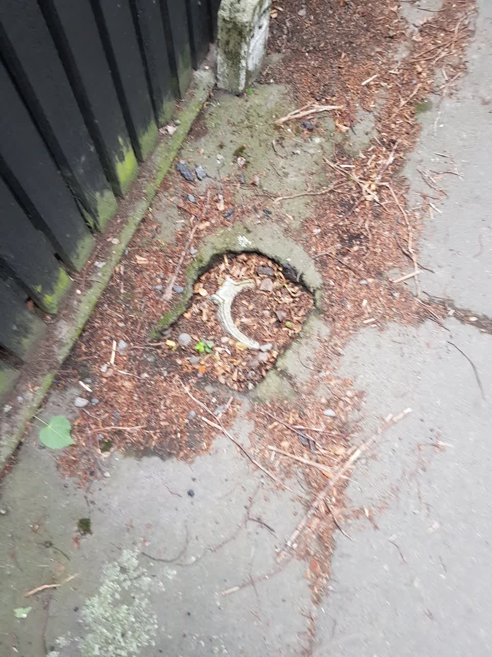 The photograph attached to this roading/streets report