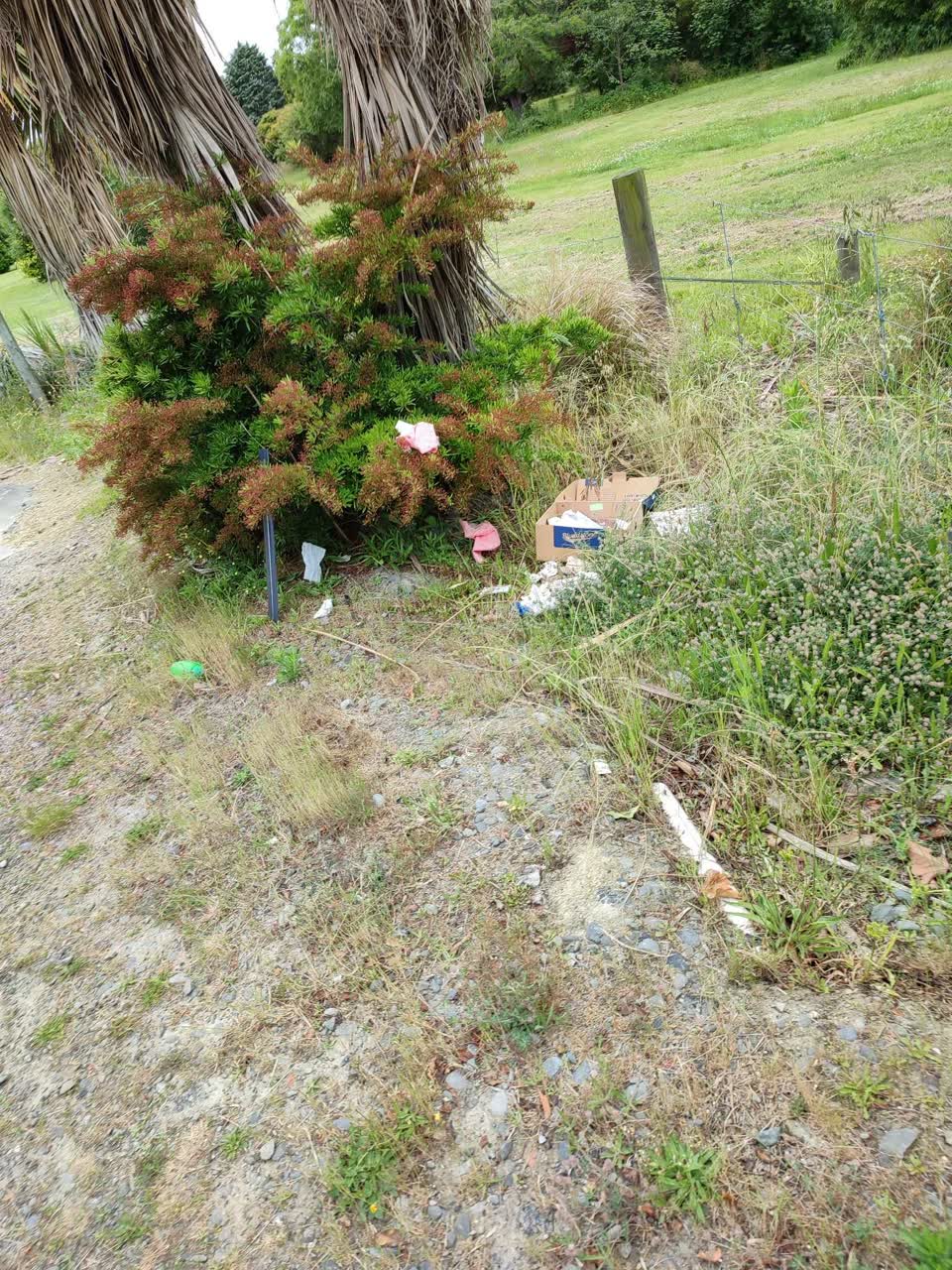 The photograph attached to this rubbish/recycling report