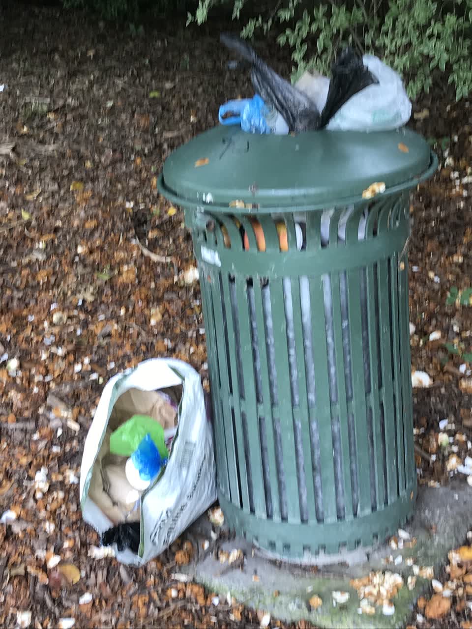 The photograph attached to this rubbish/recycling report