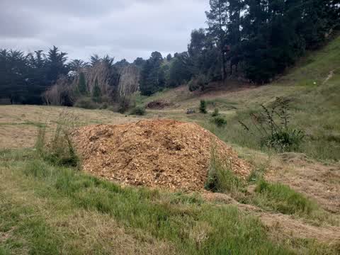Parks, a report photo