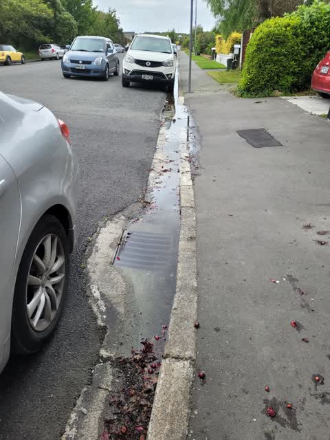 Wastewater/Stormwater, a report photo