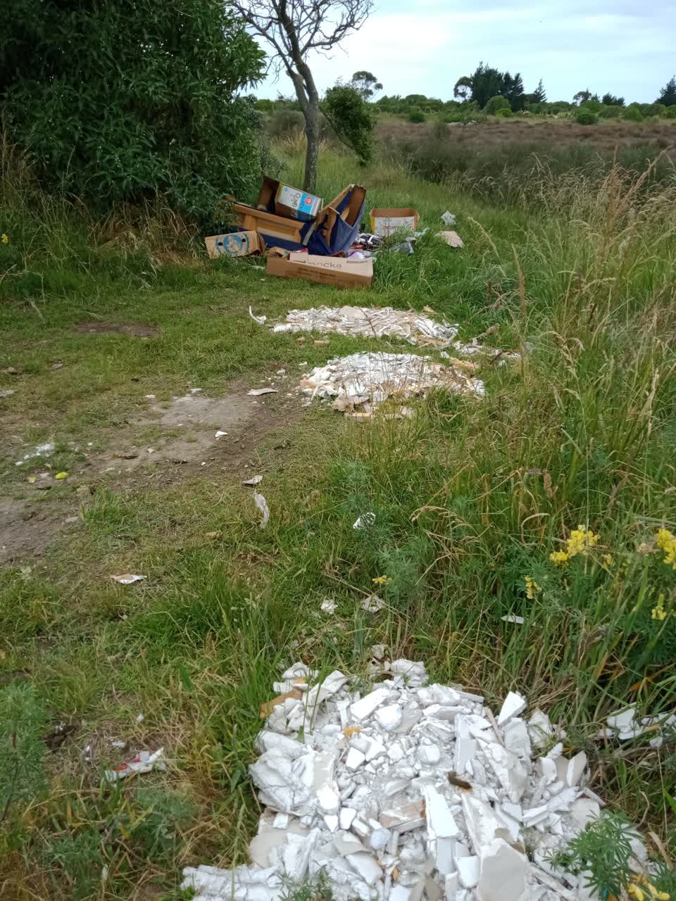 The photograph attached to this rubbish/recycling report
