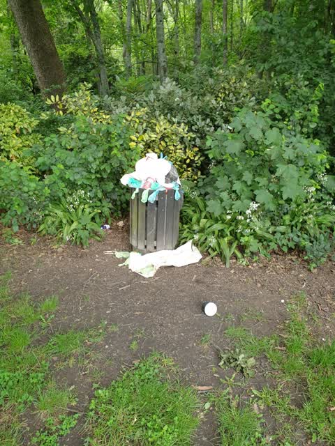 Rubbish/Recycling, a report photo