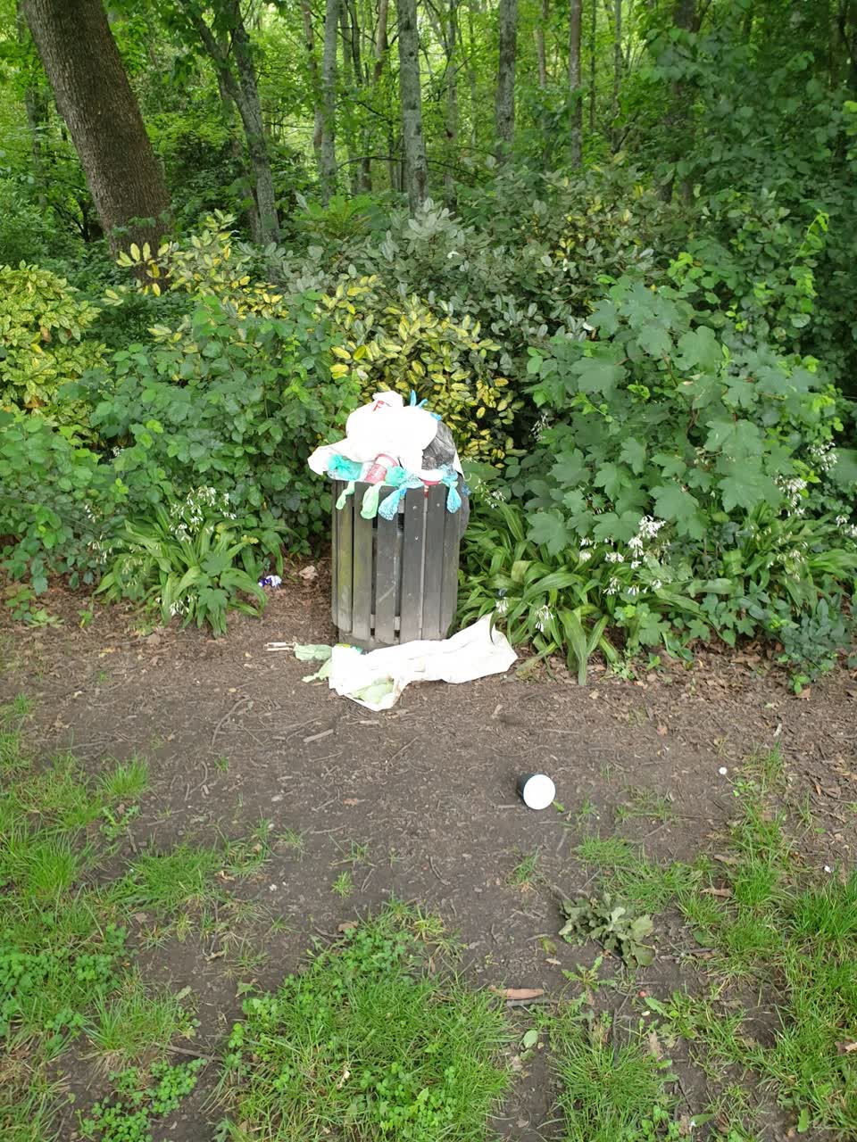 The photograph attached to this rubbish/recycling report