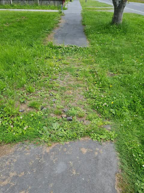 Roading/Streets, a report photo