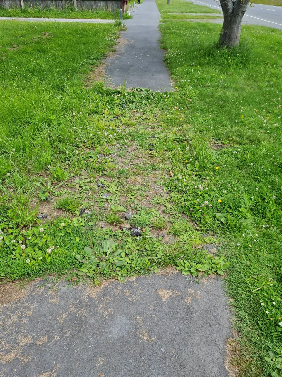 The photograph attached to this roading/streets report