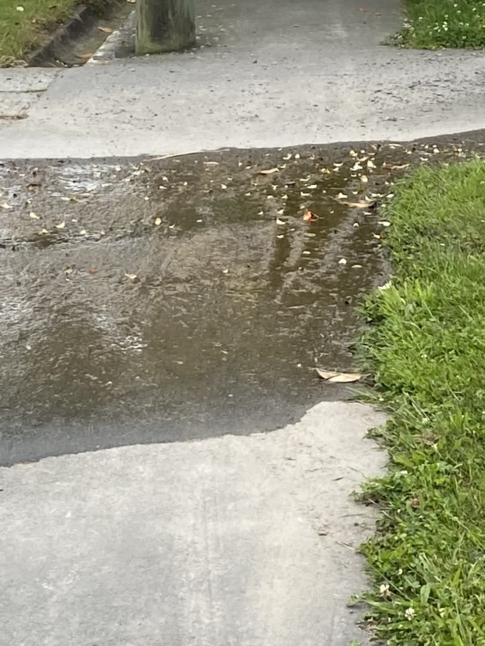 The photograph attached to this water leak report