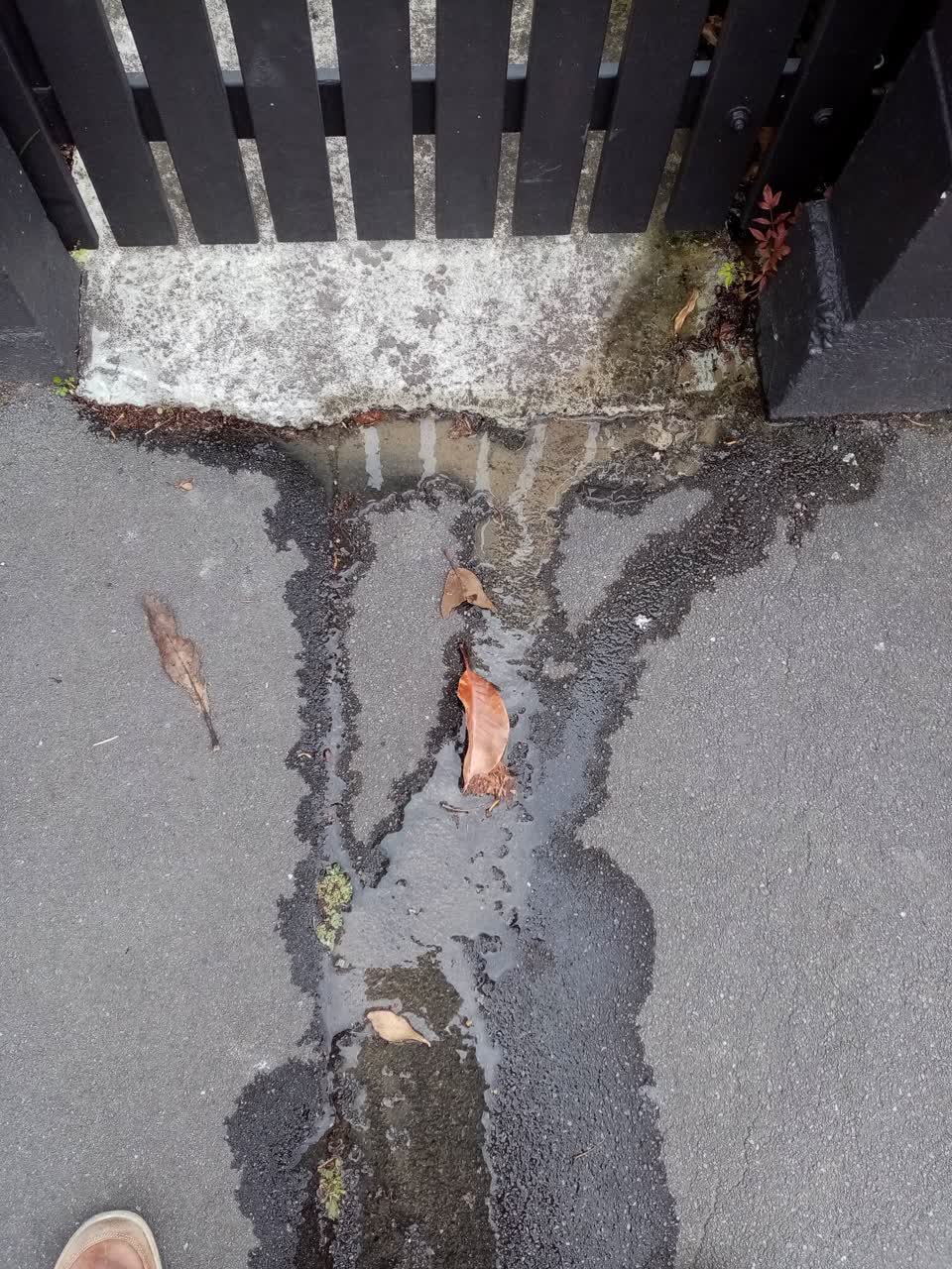 The photograph attached to this water leak report