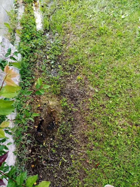 Water Leak, a report photo