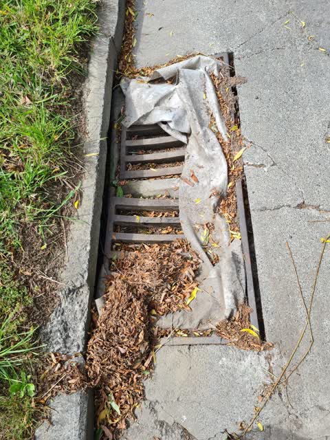 Wastewater/Stormwater, a report photo
