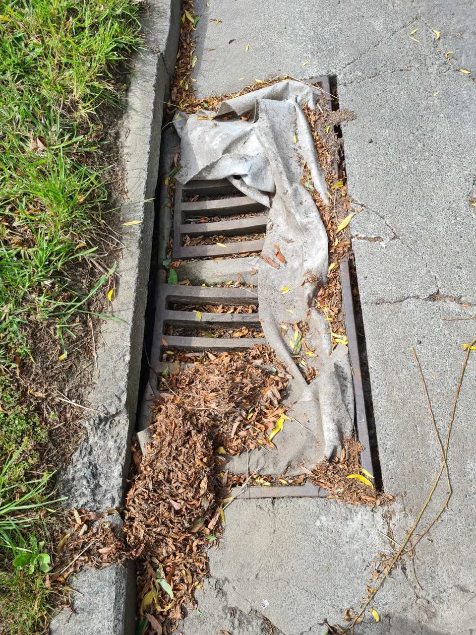 The photograph attached to this wastewater/stormwater report
