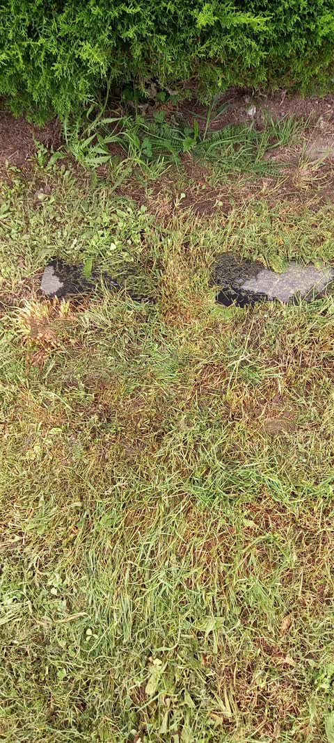 Water Leak, a report photo