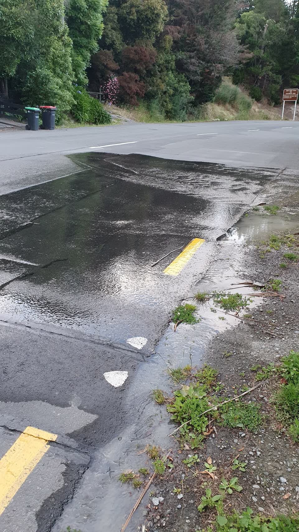 The photograph attached to this water leak report
