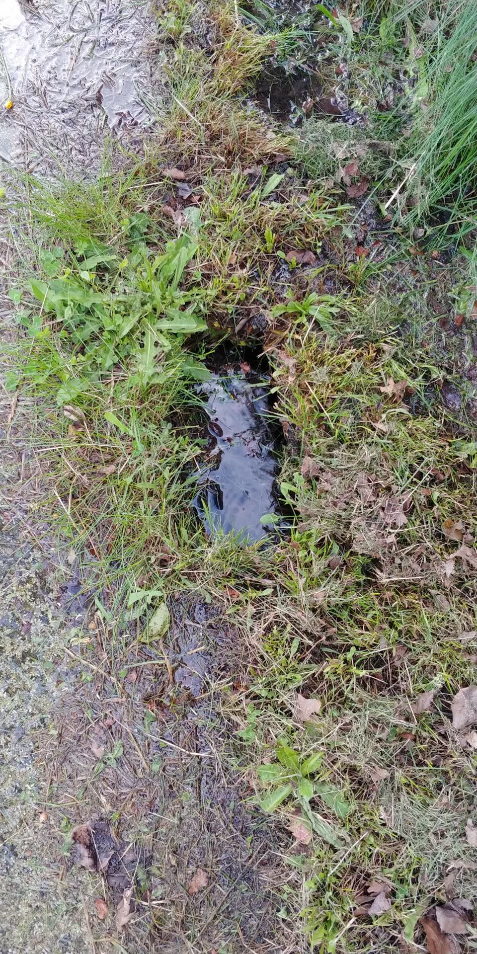 The photograph attached to this water leak report