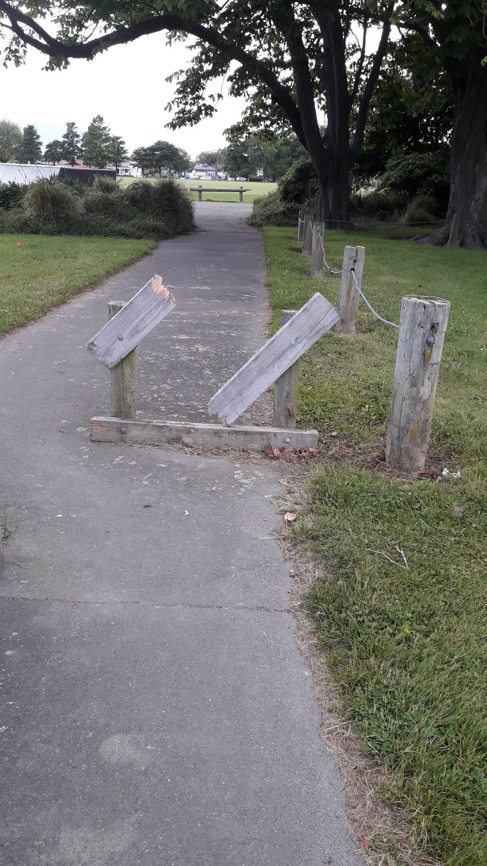 The photograph attached to this parks report