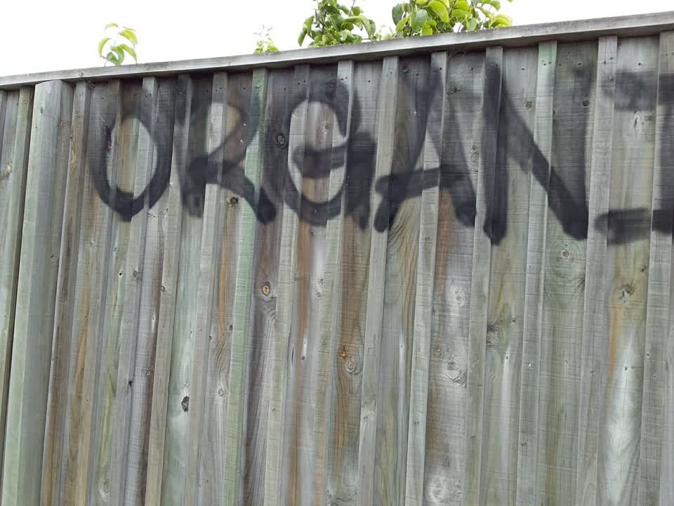 The photograph attached to this graffiti report