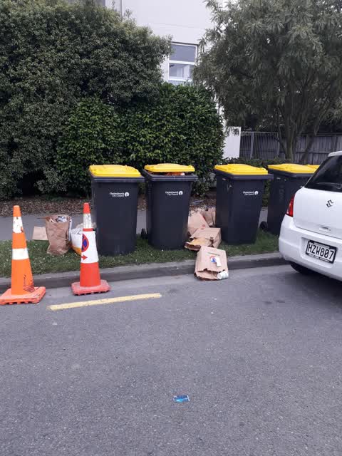 Rubbish/Recycling, a report photo