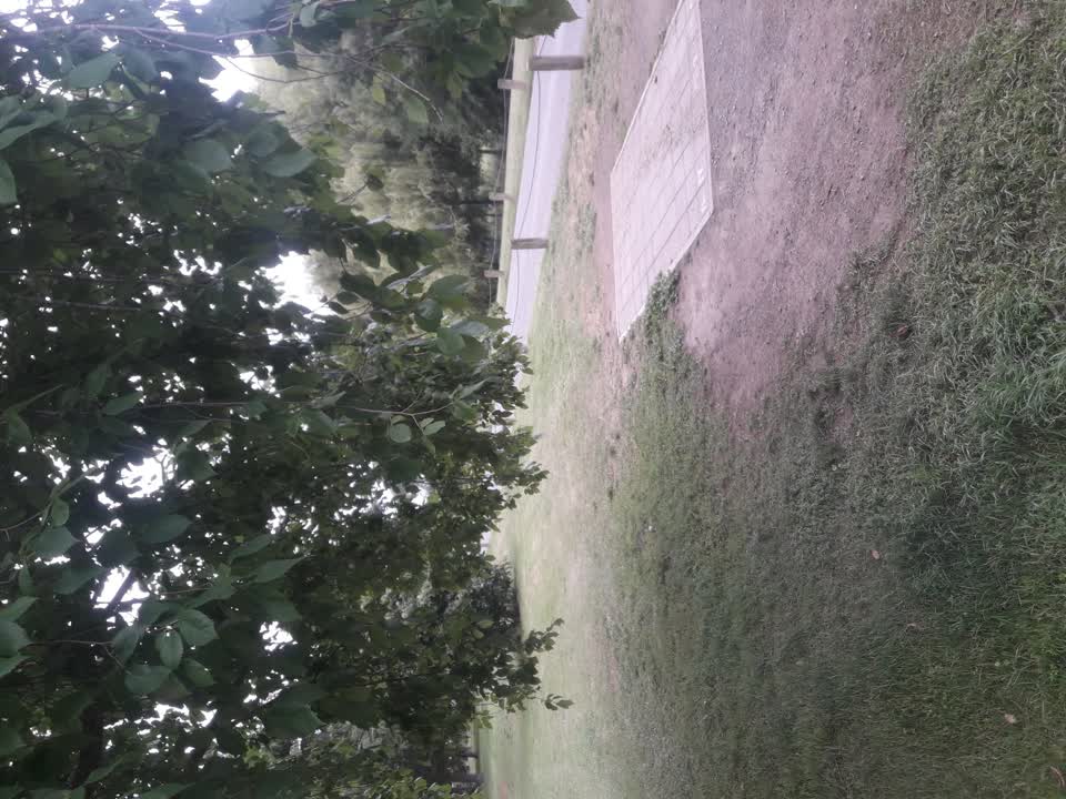 The photograph attached to this parks report