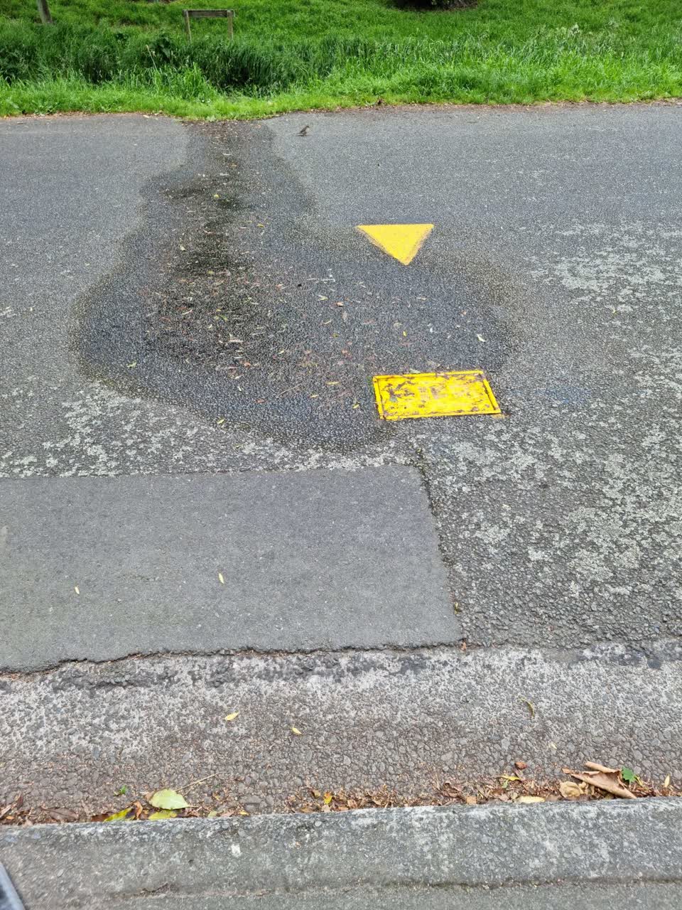 The photograph attached to this water leak report
