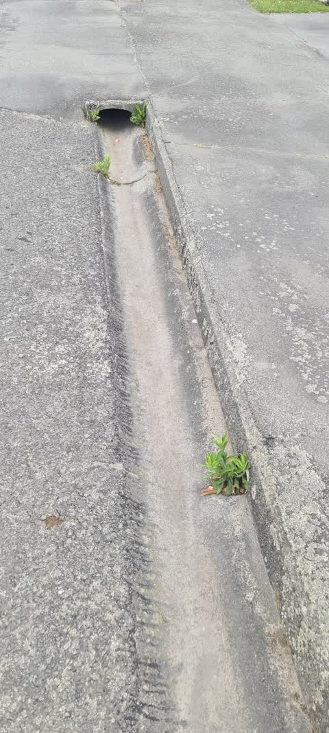 Roading/Streets, a report photo