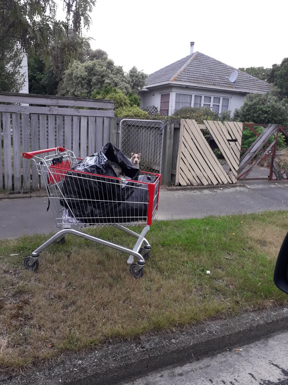 The photograph attached to this rubbish/recycling report