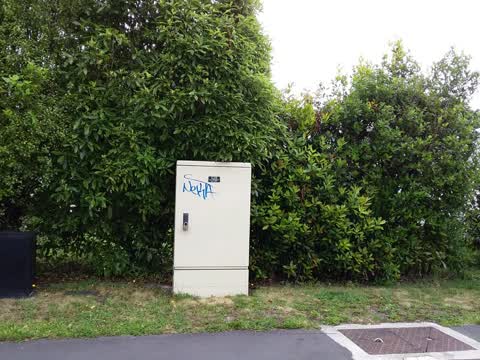 Graffiti, a report photo