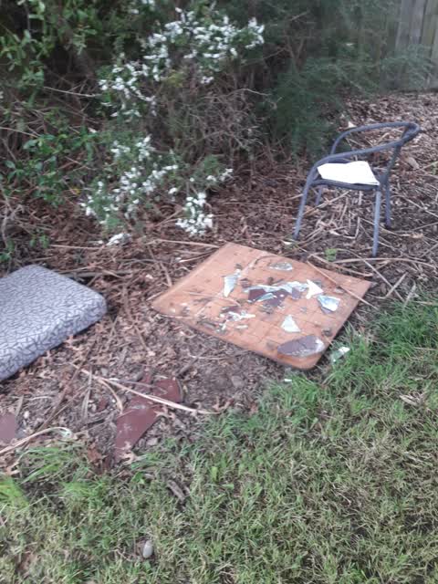 Parks, a report photo