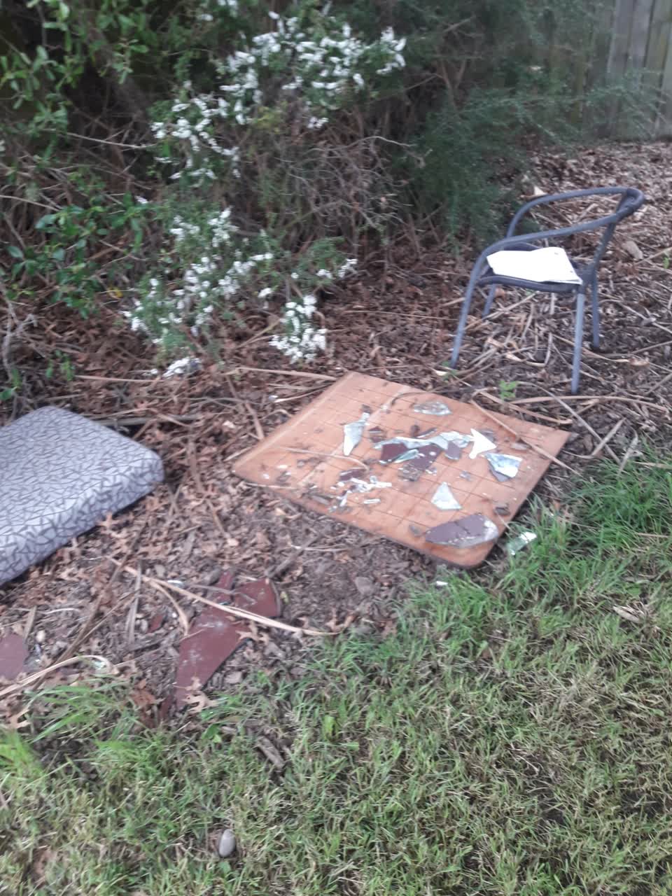 The photograph attached to this parks report