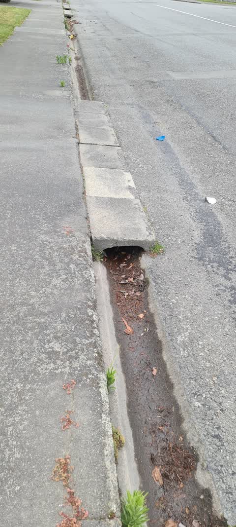 Roading/Streets, a report photo