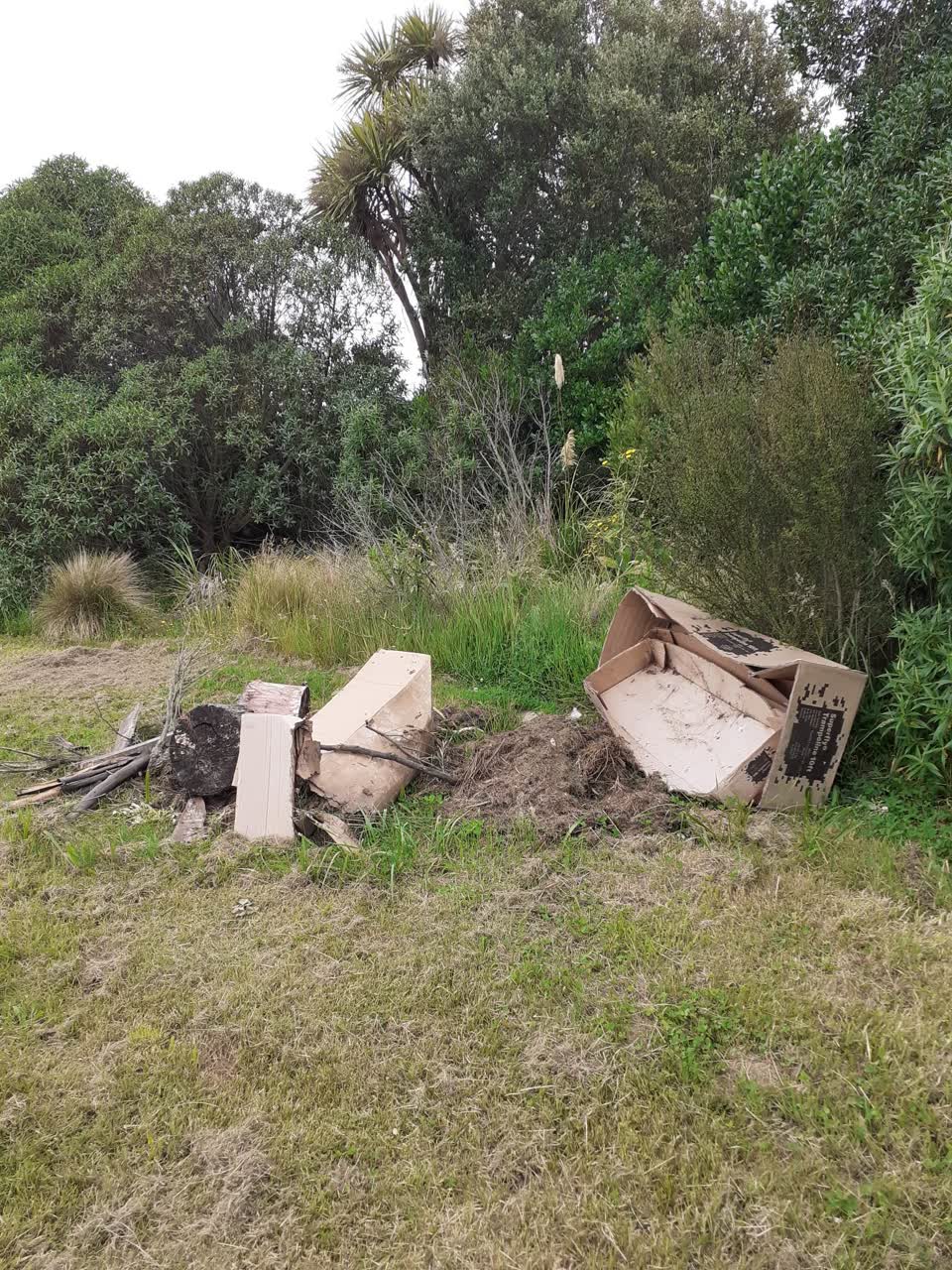 The photograph attached to this rubbish/recycling report