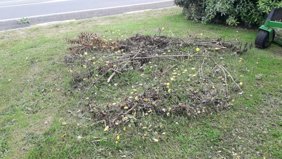 The photograph attached to this parks report
