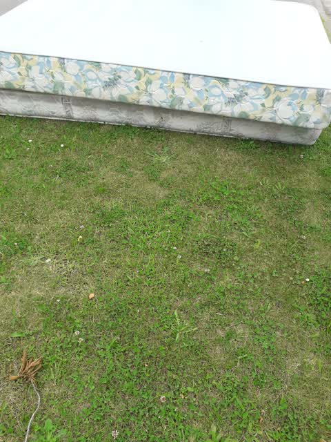 Rubbish/Recycling, a report photo
