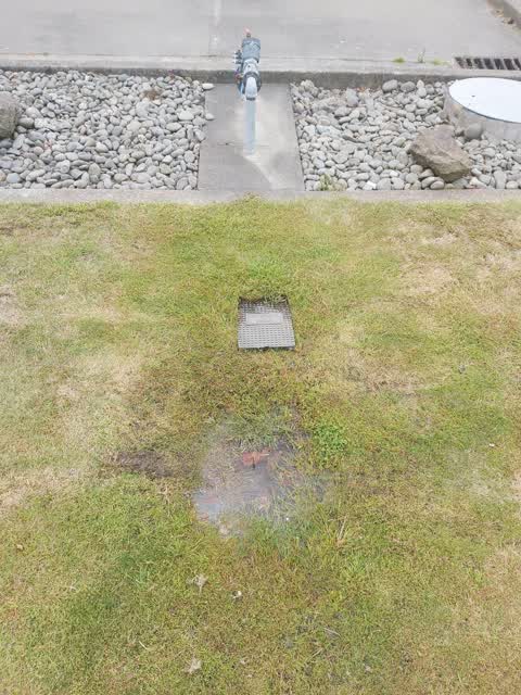 Water Leak, a report photo