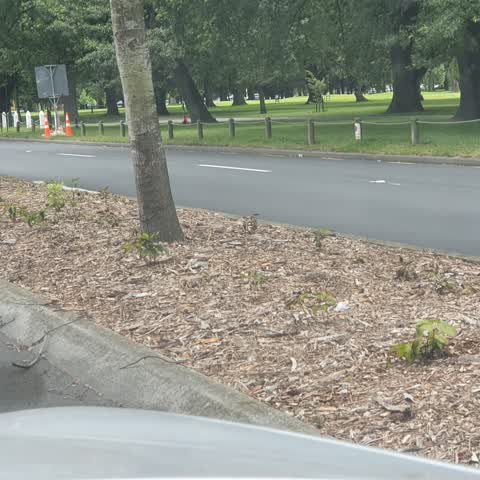 Roading/Streets, a report photo