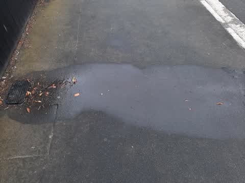 Water Leak, a report photo