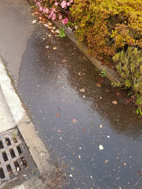 Water Leak, a report photo
