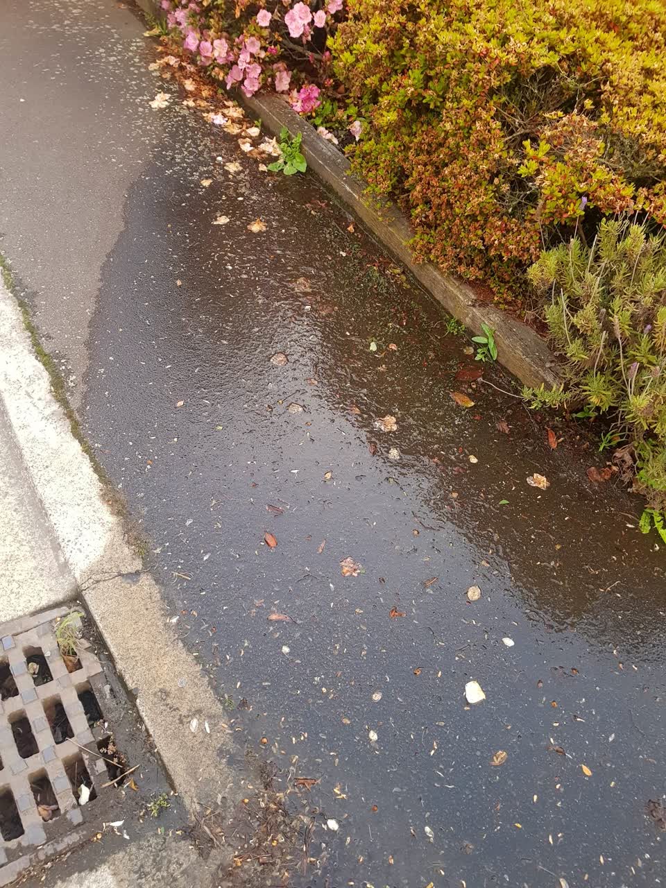 The photograph attached to this water leak report