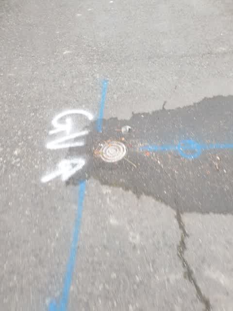 Water Leak, a report photo