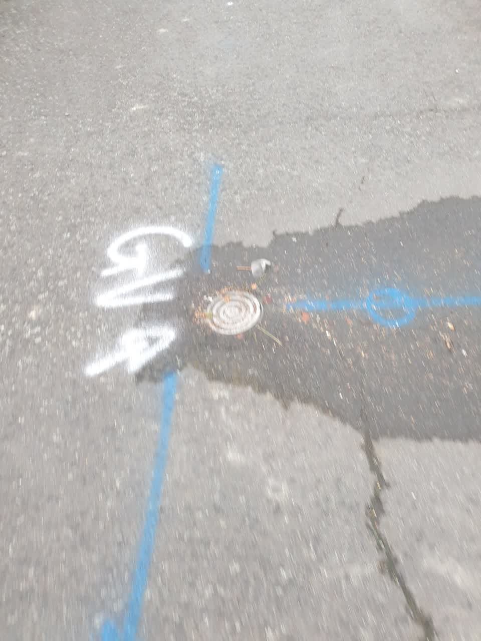 The photograph attached to this water leak report